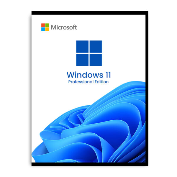 windows 11 pro dvd